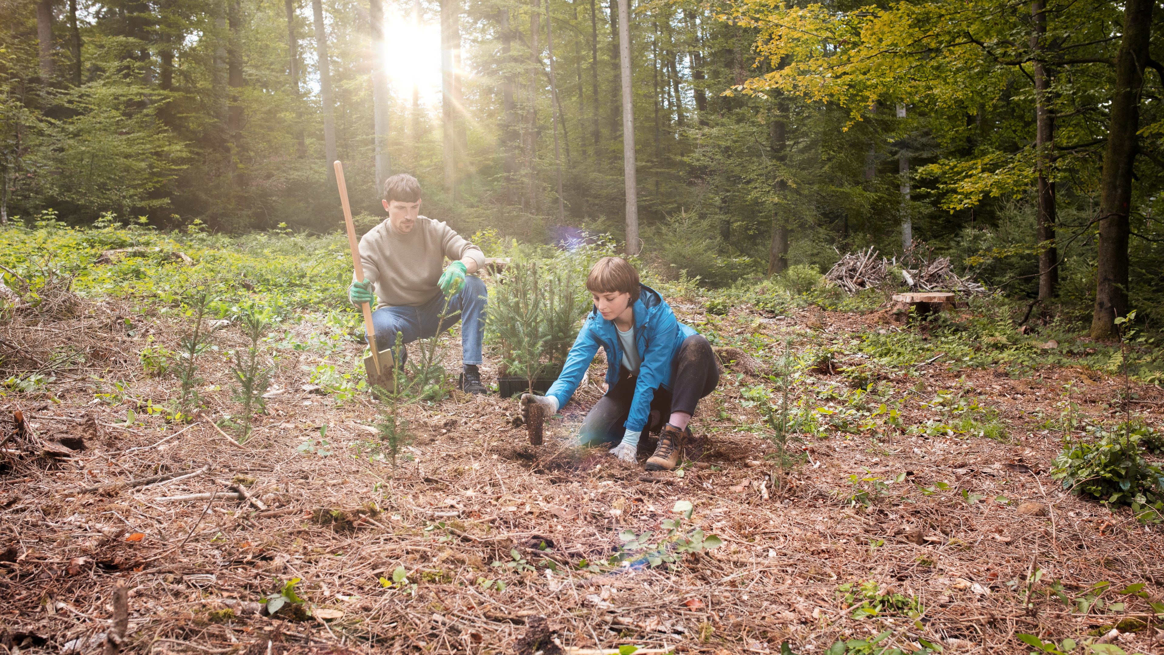 Swisslife_Treeplanting253_Gegenlicht