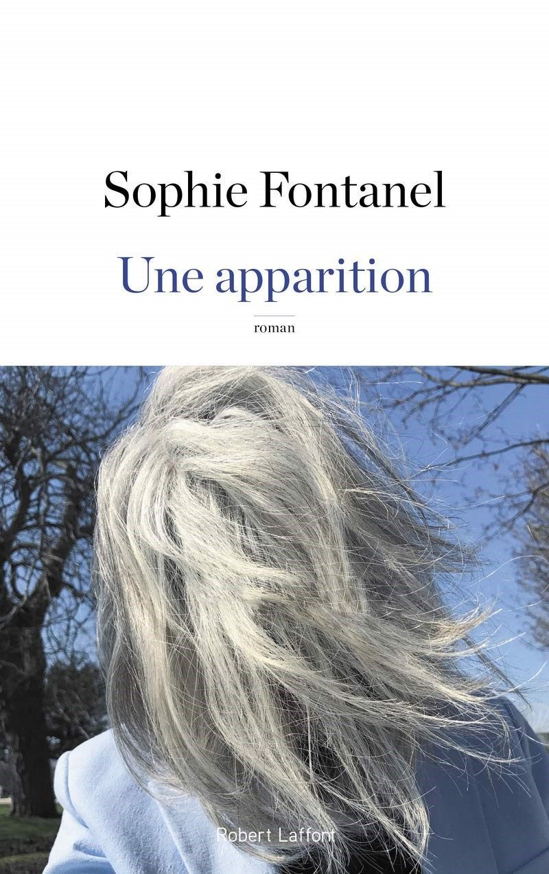 Sophie Fontanel - La voisine le blog